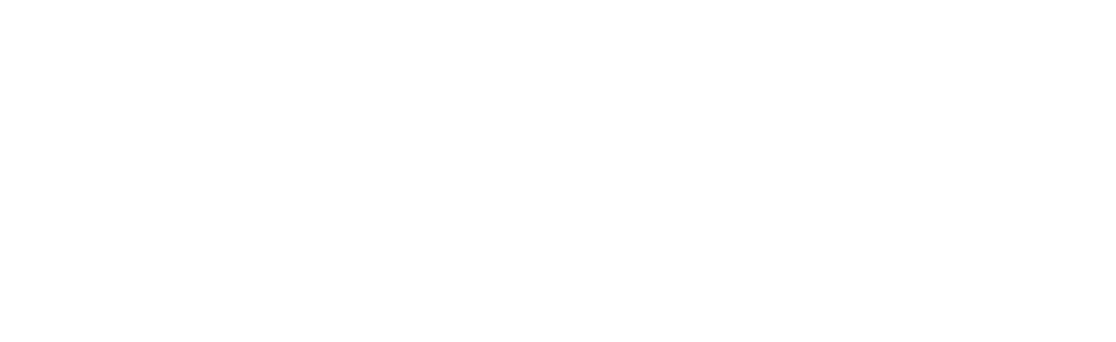 Josephine Oboh Macleod Politics